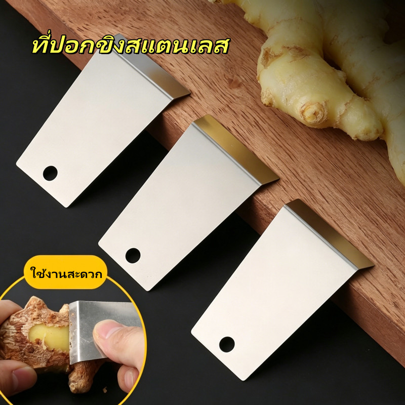ที่ปอกขิงสแตนเลส ที่ปอกกระเทียมในครัว มีดปลอกผลไม้ ที่ปอกเปลือกผลไม้ อุปกรณ์ในครัว ใช้งานสะดวก