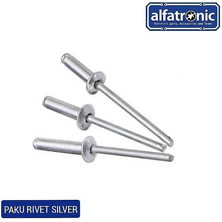 THANOS SY-LD RIVET Nails 4 x 12 SILVER 1000 ชิ้น