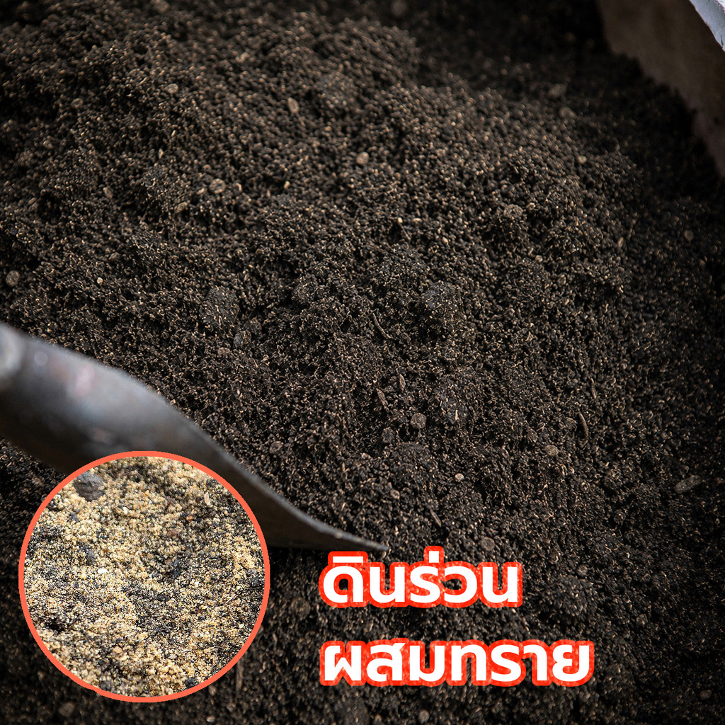 ดินร่วนปนทราย ผสมปุ๋ยหมัก 900g. ระบายน้ำดี รากเดินง่าย ดินปลูกต้นไม้ ดินผสมทราย ดินผสมปุ๋ย