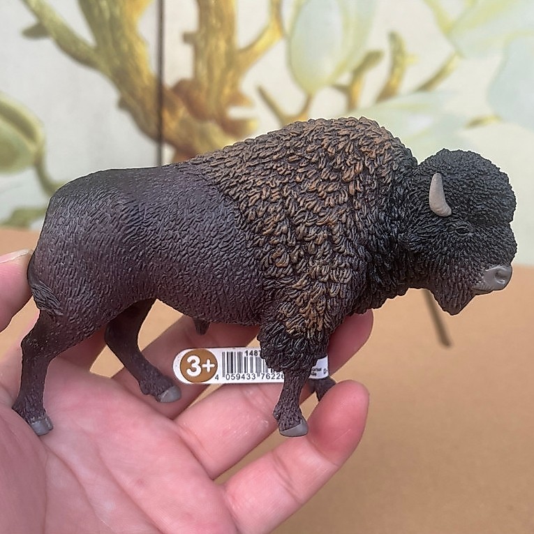 Sile ของแท้ Bison Wild จําลองสัตว์รุ่นของเล่นเด็กคอลเลกชัน