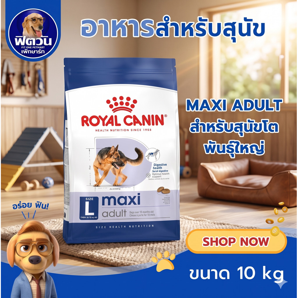 ROYAL CANIN MAXI ADULT สุนัขอายุ15เดือน 5ปี พันธ์ใหญ่ 15 กิโลกรัม {อาหารสุนัขเม็ด}
