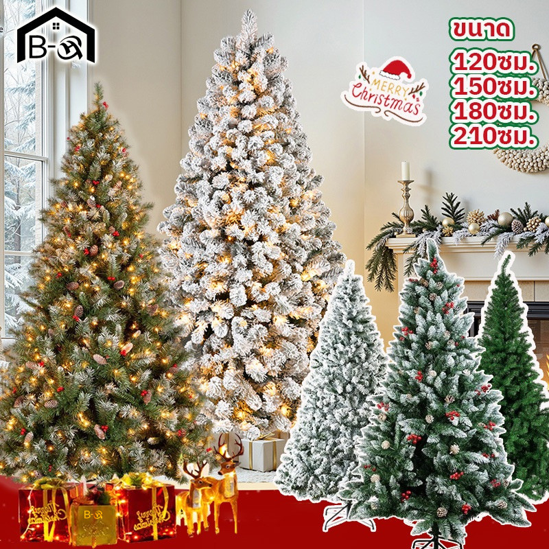 BHQ ต้นคริสต์มาสคุณภาพสูง ขนาดใหญ่ ฐานมั่นคงมาก สีเขียว/ขาว ตกแต่งคริสต์มาส 120-210cm Christmas Tree