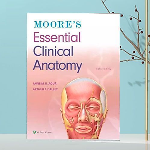 Paper English 736 BooksMoores Essential Clinical Anatomy by Keith L. Moore