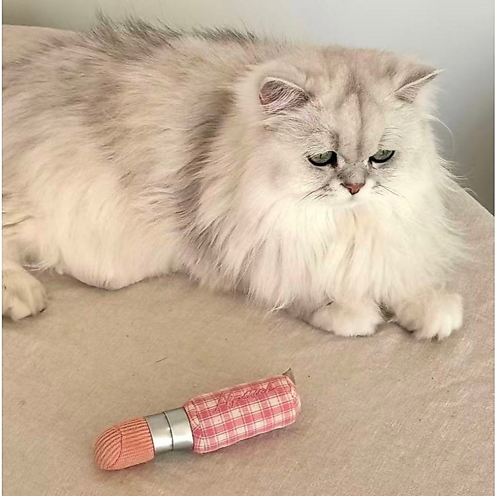 KITTY LIPSTICK- ของเล่นสัตว์เลี้ยง ของเล่นสุนัขมีเสียงบีบ ของเล่นหมารูปกระต่าย ของเล่นแมว ของเล่นน้องแมว