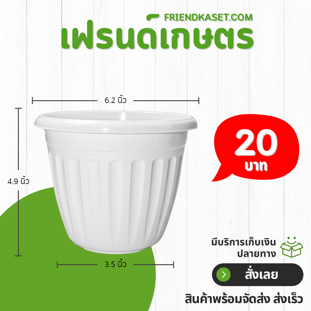 กระถาง กระถางต้นไม้ มินิมอล โรมัน+จาน ขนาด 10 นิ้ว สีขาว ขั้นต่ำ 2 ใบ ชิ้น อัน