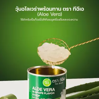[ยกลัง 24 กระป๋อง] วุ้นอโลเวร่า ว่านหางจระเข้ ในน้ำเชื่อม Aloe Vera ท็อปปิ้งสุขภาพ เครื่องดื่มชา กาแฟ ขนาด 560 g ทีอีเอ
