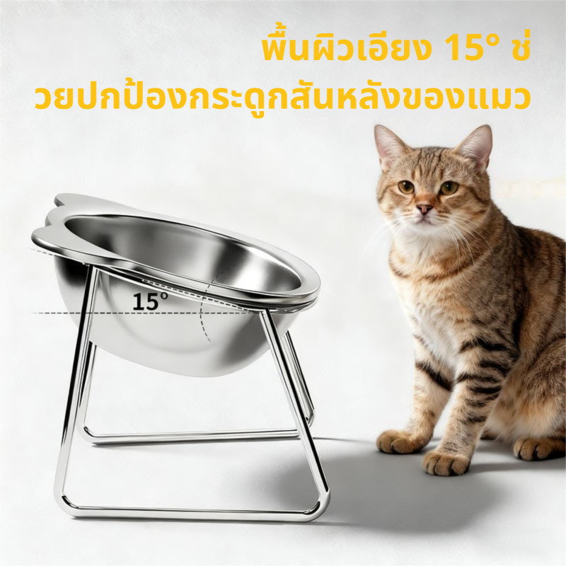 ชามแมวสแตนเลส 304 ขาตั้งเหล็ก ป้องกันคางดำ ปกป้องกระดูกคอ