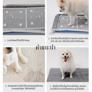 แผ่นรองฉี่สุนัข🐶ชาร์โคล(หนาขึ้น) รุ่นชาโคล แผ่นรองฉี่แมว ช่วยฝึกขับถ่าย การดูดซับน้ำ6ชั้น ระงับกลิ่นได้ดี