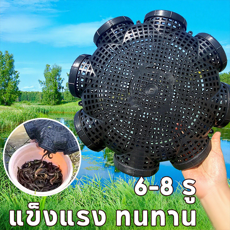🚀 พร้อมส่ง! ลอบดักปลาไหลพลาสติก 6-8 รู lightweight แข็งแรง ทนทาน ดักกุ้ง ดักปู ดักปลา ได้ทุกที่ พกพาสะดวก 👍