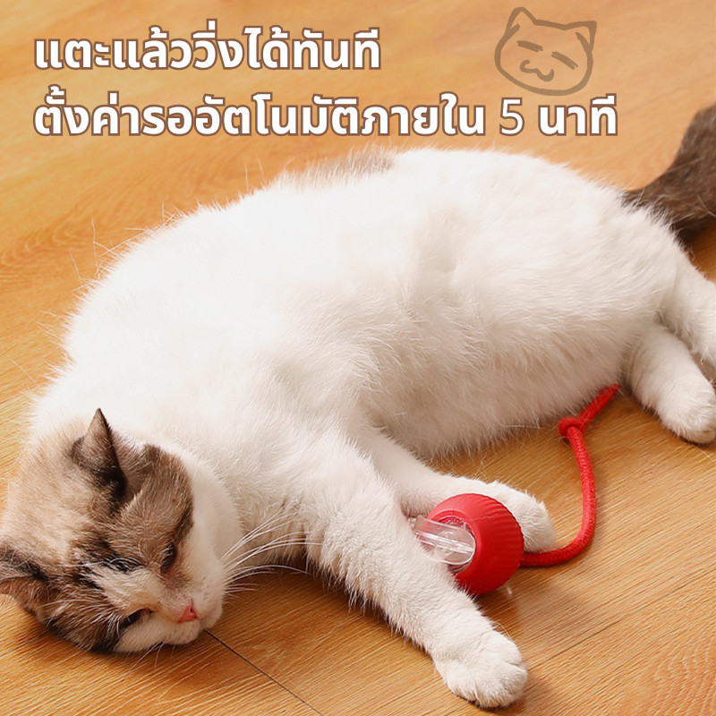 🐾ลูกบอลกลิ้งไฟฟ้าอัตโนมัติ ของเล่นแมวโต้ตอบ Ball ของเล่นแมว ลูกบอลอัตโนมัติ กลิ้งเองได้ ลูกบอลแมว - รูปที่ 5