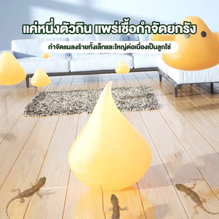 ยาฆ่าจิ้งจก กับดักจิ้งจก ไล่จิ้งจก ยาฆ่าตุ๊กแก ได้ผลกับสัตว์เลื้อยคลานอื่น ๆ เช่นกัน ยากำจัด เห็นผลชัดเจน ซื้อ 2 แถม 1