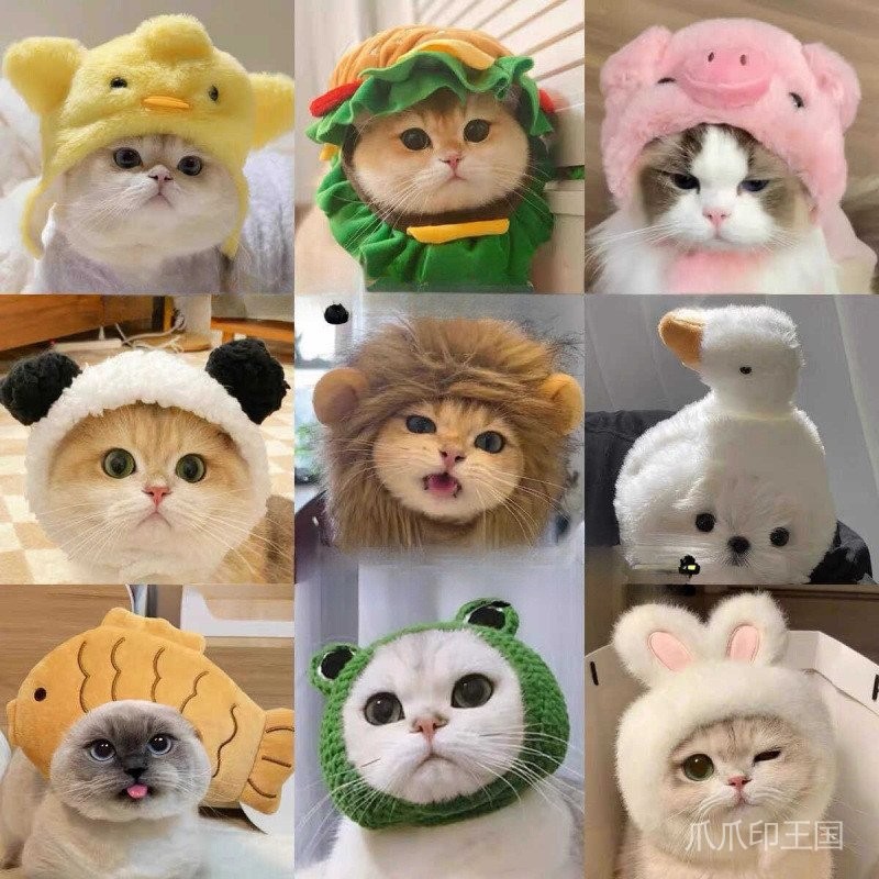 Cat Cute Funny Cross-Dressing Pet Hat Dog Burger Headgear หมวกการ์ตูน
