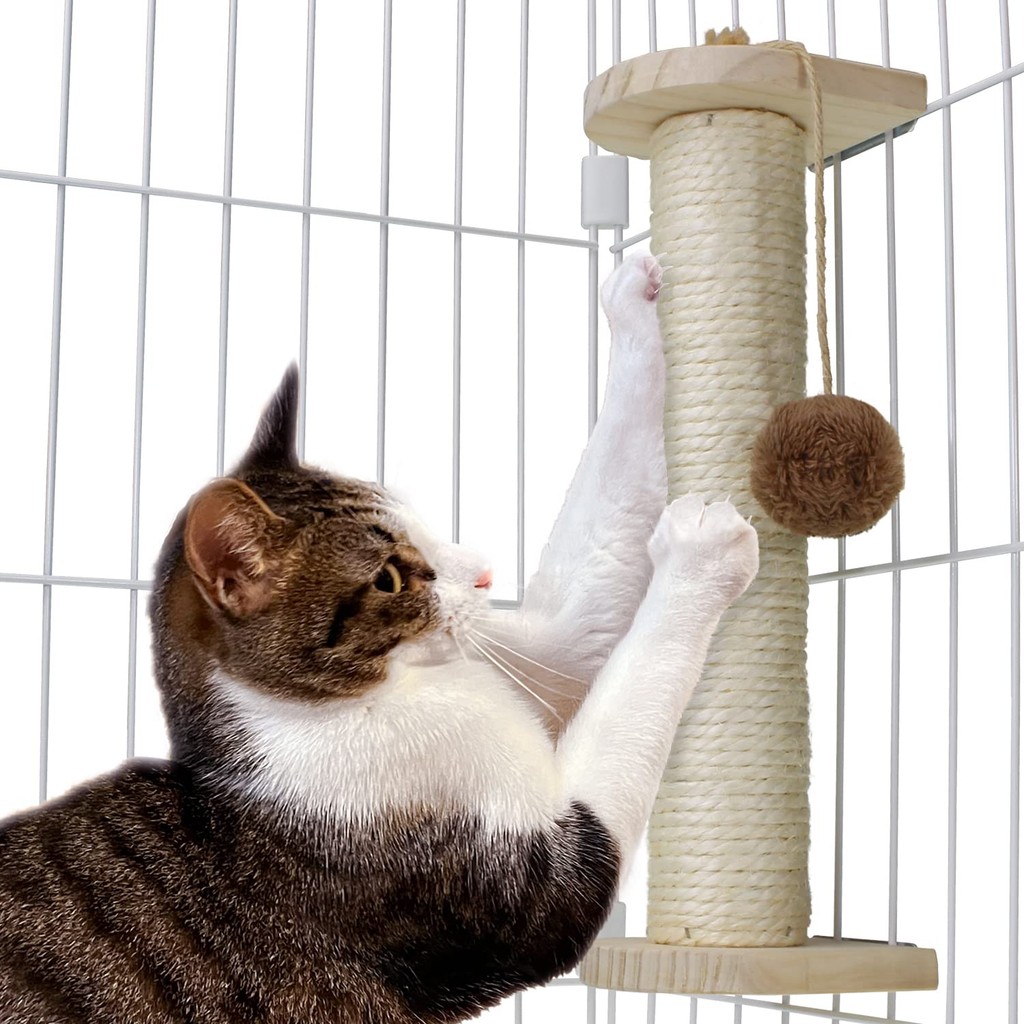 Cat scratching post, cage attached, toy, with scratching post installed (full set) แมว ที่ข่วน ติดกร
