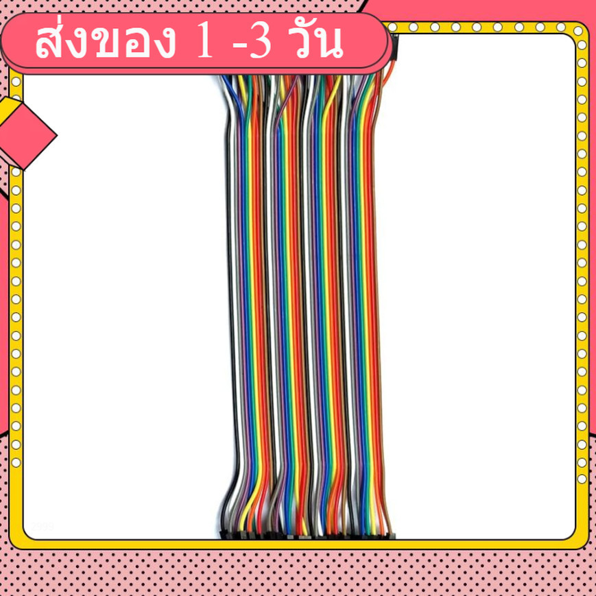 สายแพ (30cm) 40 pin to 40 pin (Male-Male) 2.54mm
