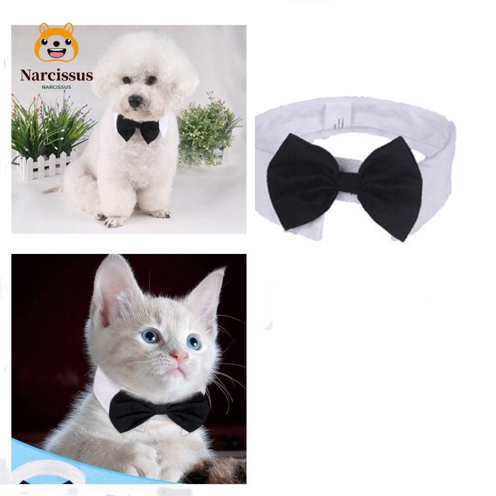 NARCISSUS Cat Tuxedo Collar Grooming อุปกรณ์เสริม Puppy Cat ลูกแมวสัตว์เลี้ยงอย่างเป็นทางการ Tuxedo