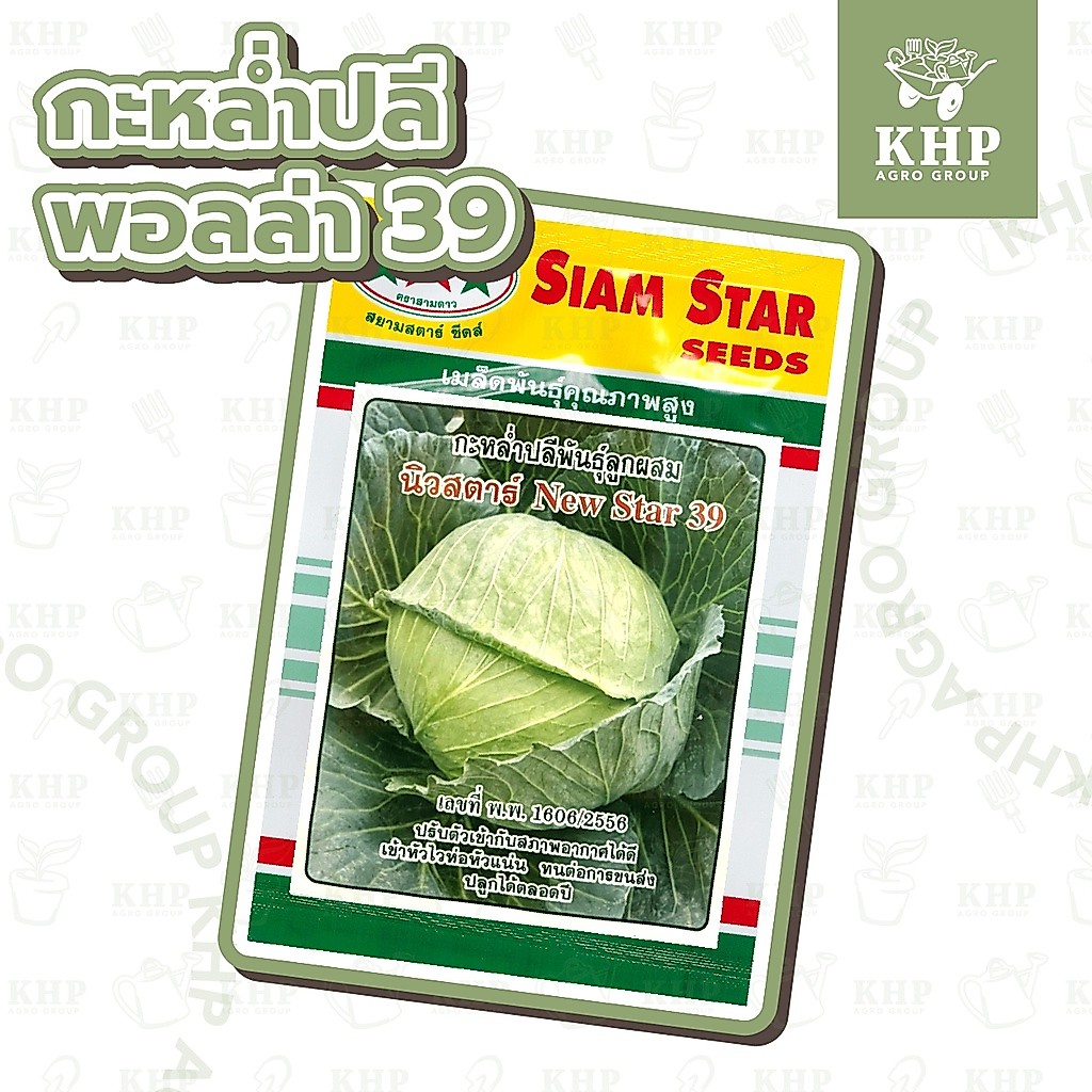 เมล็ดพันธุ์ กะหล่ำปลี นิวสตาร์ 39 🌟 F1 Hybrid ลูกผสม คัดพิเศษ 🌟 สยามสตาร์ หัวใหญ่ เข้าหัวไวห่อหัวแน่น ปลูกได้ตลอดปี
