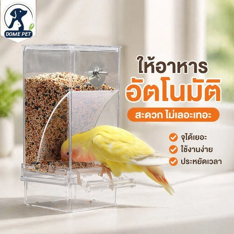 ที่ให้อาหารนกอัตโนมัติ แขวนกรง กันหก กันคุ้ย สำหรับ นกหงส์หยก เลิฟเบิร์ด ค็อกคาเทล ถอดล้างง่าย