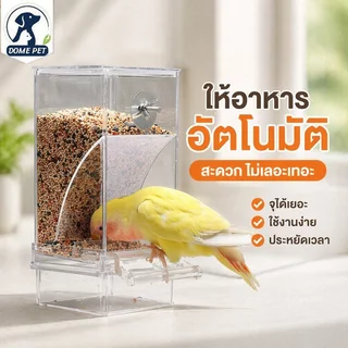 ที่ให้อาหารนกอัตโนมัติ แขวนกรง กันหก กันคุ้ย สำหรับ นกหงส์หยก เลิฟเบิร์ด ค็อกคาเทล ถอดล้างง่าย