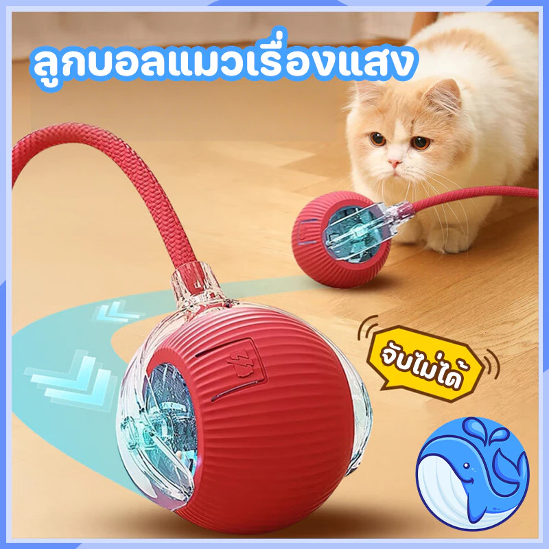 ของเล่นแมว ลูกบอลสัตว์เลี้ยง ของเล่นแมวอัจฉริยะ หมุนได้ 360 องศา เรืองแสง USB ชาร์จ