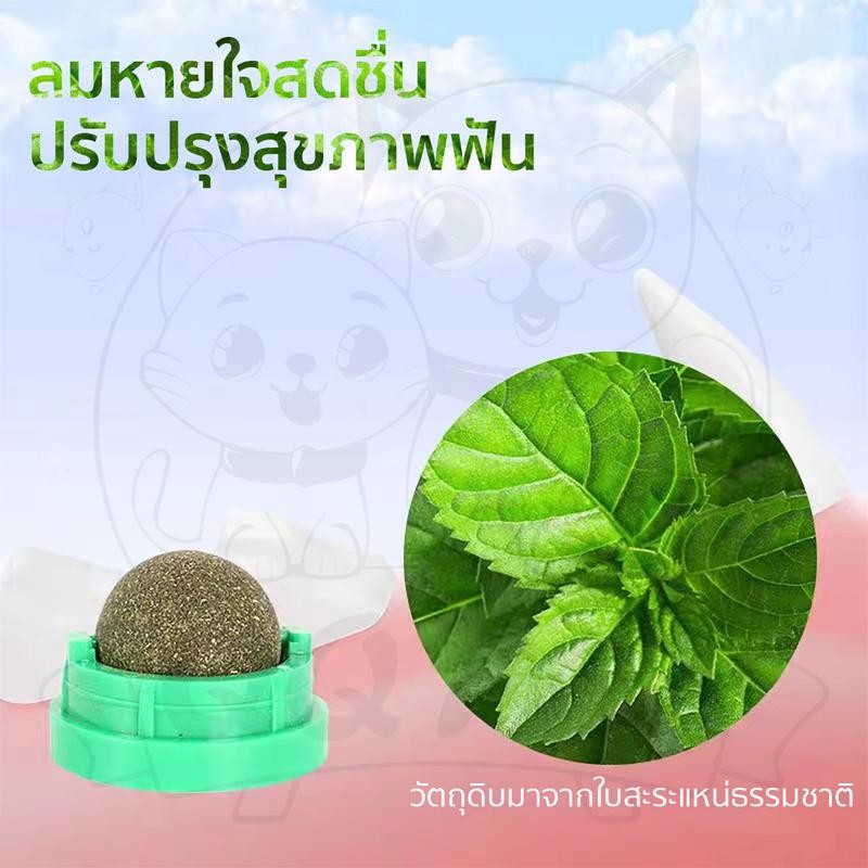 QQPET แคทนิปบอล กัญชาแมว ของเล่นแมวเลีย ติดกำแพง