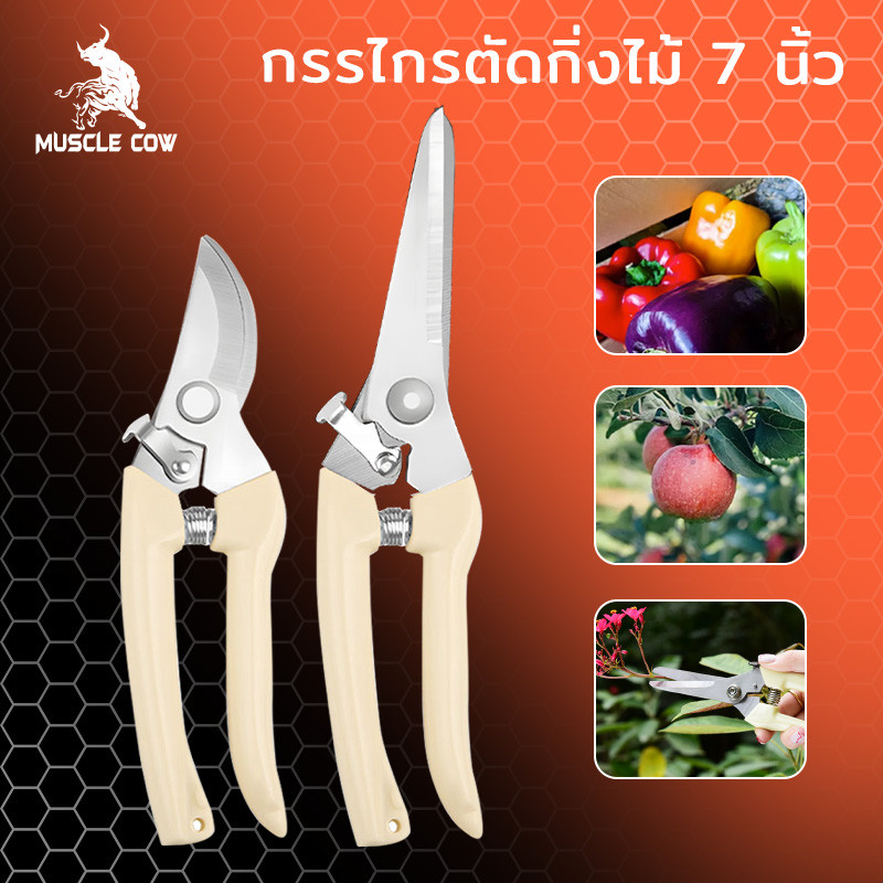 MUSCLE COW กรรไกรตัดโลหะ สแตนเลส ตัดซีลาย ตัดสังกะสี ตัดแผ่นมิเนียม กรรไกรตัดกิ่งไม้ กรรไกรอเนกประสงค์ กรรไกรตัดกิ่งไม้