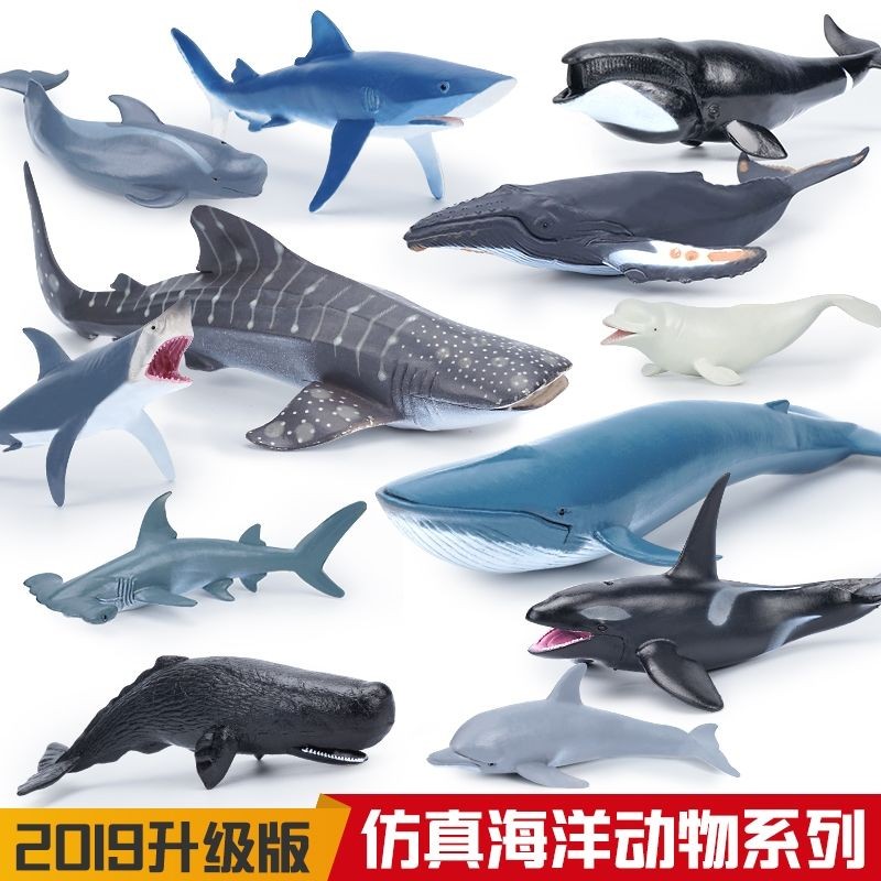 จําลองสัตว์ทะเล Undersea Creature ของเล่น Great White Shark Shark Killer Whale Dolphin Spread Whale 