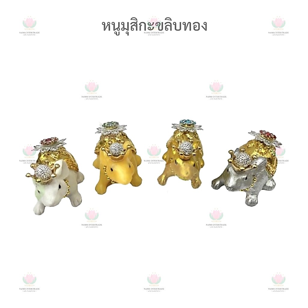 หนู​มุสิ​กะ​ หนูมุสิกะขลิบทองแท้ / ทองวิทยาศาสตร์​ หนูพระพิฆเนศ​