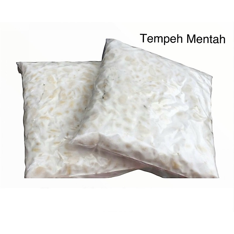 Indonesia Tempe Homemade Frozen 300 gram
