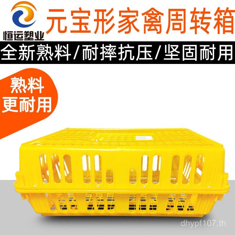 Turnover กรอบไก่เป็ดขนส่งกรอบ Turnover ตะกร้าไก่ Turnover กล่องสัตว์ปีกไก่ต้นกล้าไก่ Raising Turnove