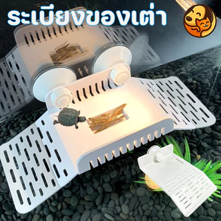 COD ระเบียงของเต่า อาบแดด ทำให้เต่ามีสุขภาพดีขึ้น มีช่องป้อนอาหาร ทำให้เต่าผ่อนคลาย แสงแดด