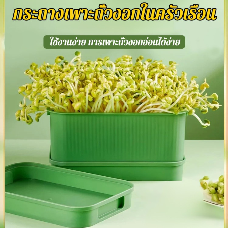🚀เก็บผลผลิตได้ภายใน7วัน🌱กระถางเพาะถั่วงอกแบบไฮโดรโปนิกส์ ชุดปลูกต้นกล้าแบบไม่ใช้ดิน สำหรับบ้าน เหมาะสำหรับครัวเรือนมือใหม่ มีช่องระบายอากาศ360องศา ช่วยเร่งการงอกของเมล็ดพันธุ์