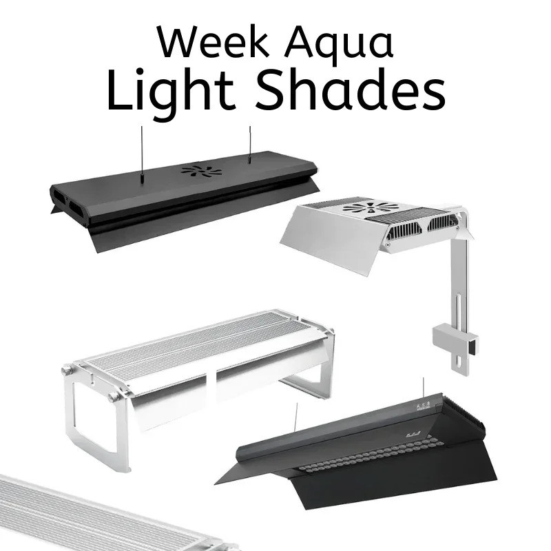 Week Aqua Light Shades ซีรีส์ A/P/M/L
