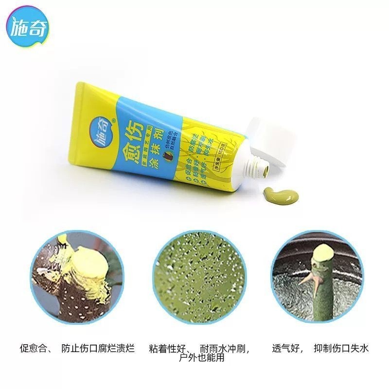Guoguang Shiqi Wound Healing Agent Tree Rose Fruit Tree Trimming Plant Injuries#现货国光施奇伤口愈合剂树木月季果树修剪植
