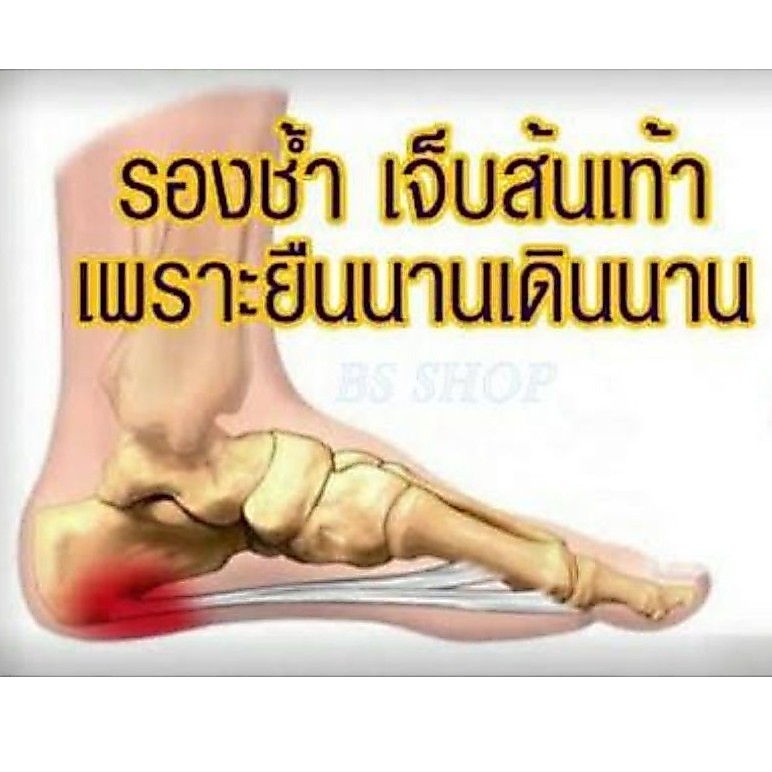 Bs รักษา​ รองช้ำ แก้เจ็บส้นเท้า ฝ่าเท้า 2ชิ้นลดเพิ่ม20฿ หลังเท้า ใต้เท้า เจ็บข้อเท้า ANKLE&HEEL SUPPORT เจ็บ​ปวด ส้นเท้า
