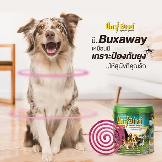 Buxaway บักซ์อเวย์ 60 ขด รุ่น รีฟิว ยาจุดกันยุง สำหรับสัตว์เลี้ยง