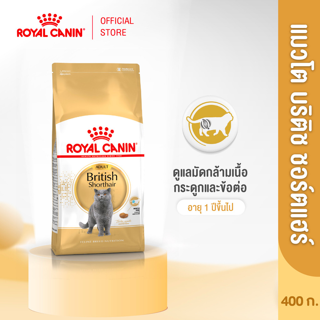 Royal Canin British Shorthair Adult400g อาหารเม็ดแมวโตพันธุ์บริติช ชอร์ทแฮร์อายุ12เดือนขึ้นไป(Dry Cat Food, โรยัล คานิน)