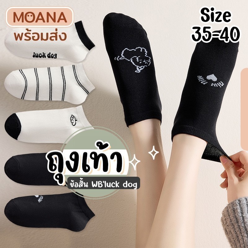 พร้อมส่ง : ถุงเท้า ข้อสั้น สีพื้น Pha ขอบ 5 คู่ น่ารัก ใส่ได้ทุกวัน เนื้อผ้านุ่ม แฟชั่น - รูปที่ 4