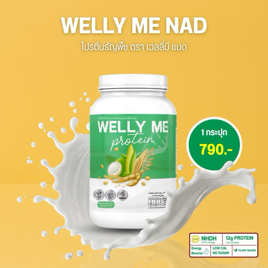 Welly Me NAD Protein เวลลี่ มี เเนด โปรตีนพืช โปรตีนธัญพืช 500กรัม