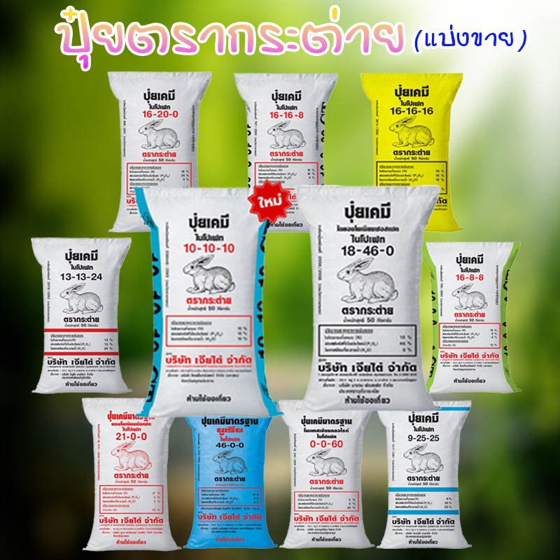 ปุ๋ยตรากระต่าย 25-7-7,15-15-15,13-13-24,46-0-0,16-16-16,9-25-25,21-0-0 ปุ๋ยเร่งราก ต้น ใบ ดอก ปุ๋ยเม