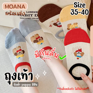 พร้อมส่ง : ถุงเท้า ข้อต่ำ หมาหูยาว 5 คู่ ไม่มีกันลื่น แล้วแต่รุ่น ลายน่ารัก เนื้อผ้านุ่ม