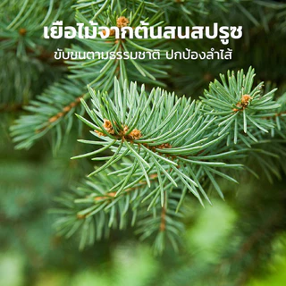 THSPET 70g อาหารสัตว์เลี้ยงเปียก รสไก่ แซลมอน และน้ำฟักทอง สูตรควบคุมก้อนขน