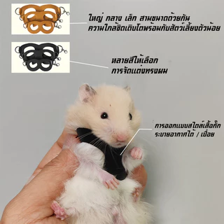 4 ชิ้นสัตว์เลี้ยงขนาดเล็กสายรัดหน้าอกหนูแฮมสเตอร์กระรอก Leash Anti Bite Traction เชือก Sugar Glider Windproof พิเศษ