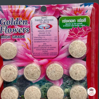 ปุ๋ยบัวอัดเม็ด ปุ๋ยไม้น้ำ ปุ๋ยบอน สูตรเร่งใบ เร่งดอก Golden Flowers