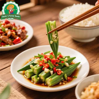 เมล็ดพันธุ์ ผักกระเจี๊ยบ บรรจุ 60เมล็ด Green Okra Seeds for Planting Vegetables Plants เมล็ดกระเจี๊ยบ เมล็ดพันธุ์ผัก