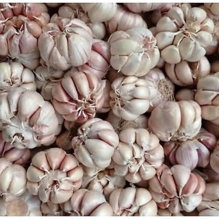 Bawang putih biasa Super Berat 1kg