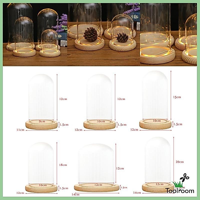 [ ตู้โชว์โถ Cloche แก้วใสสําหรับตกแต่งพร้อมโดม LED Rustic / Centerpiece