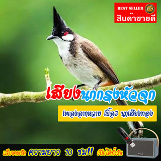 เสียงนกกรงหัวจุก (ชุดที่ 37) เพลงลากหวาย เบิ้ล3 นกเสียงทอง m…