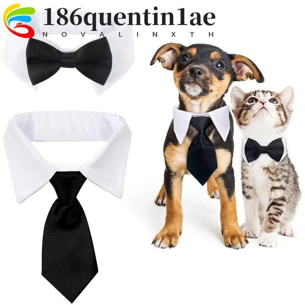 QHENTIN1AE สุนัข Bow Tie พร้อมหัวเข็มขัดปรับสร้อยคอสุนัขสําหรับลูกสุนัขลูกแมวสําหรับสุนัขขนาดกลางขนา