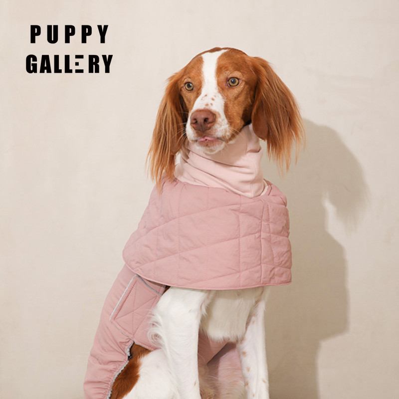เกาหลีเกาหลี puppy gallery Hound สุนัขคอเต่าผ้าฝ้ายเบาะเสื้อผ้า Lingti Ebit เสื้อผ้าขนาดกลางขนาดใหญ่