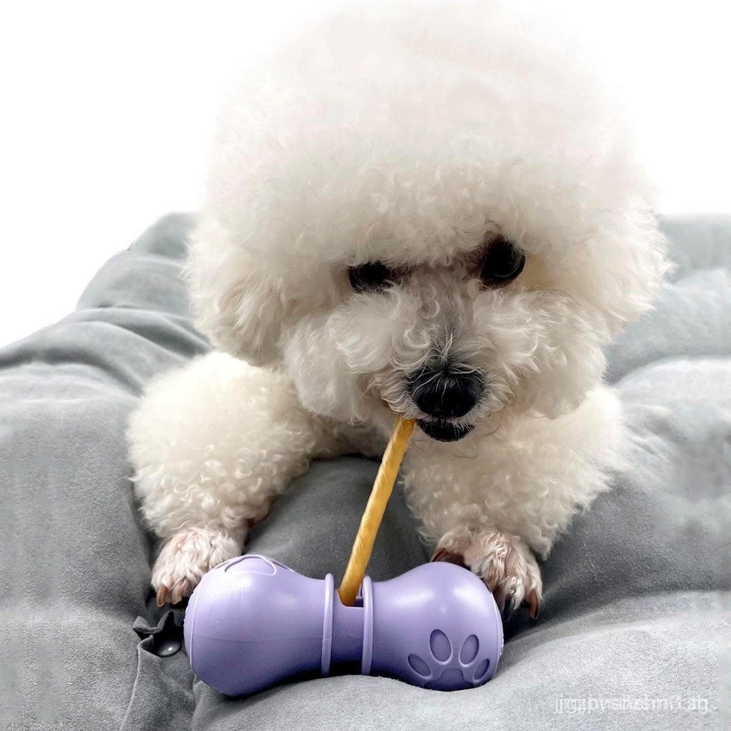 Bully Stick Holder for Dogs, Chew Holder อุปกรณ์นิรภัยป้องกันการสําลัก (สีม่วง,เล็ก)